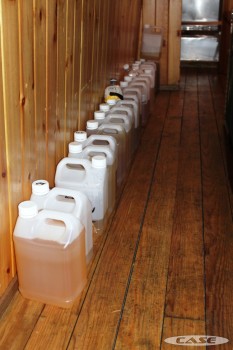 The 24 hour urine collections lined up outside the toilet